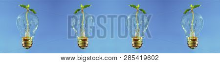 Edison Lightbulbs With Growing Seed In A Banner Composition