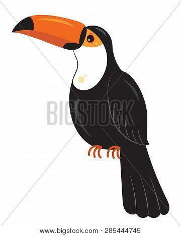 Big Toucan Bird - Ramphastos Toco, Vector Illustration