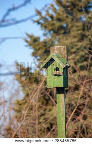 Birdhouse Wooden Copyspace Birds Home Tree Birdbox . A House For Feeding Birds And For Arranging Bir
