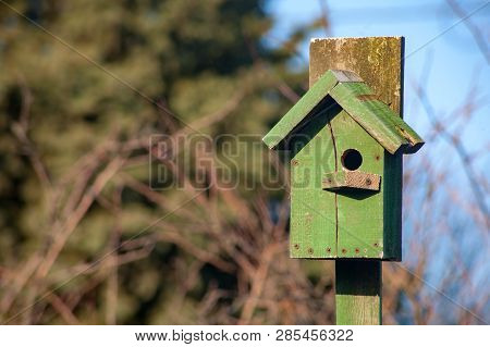 Birdhouse Wooden Copyspace Birds Home Tree Birdbox . A House For Feeding Birds And For Arranging Bir