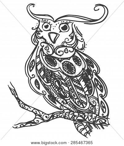 Vector Hand Drawn Sketch Of Owl Bird  Illustration On White Background
