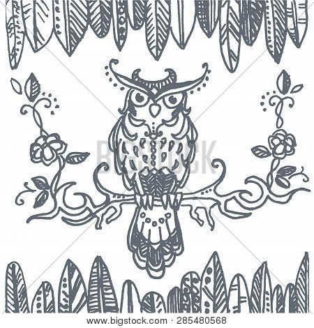 Vector Hand Drawn Sketch Of Owl Bird  Illustration On White Background