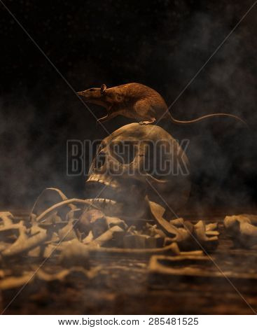 Rat On Human Skull In The Dark,3d Illustration