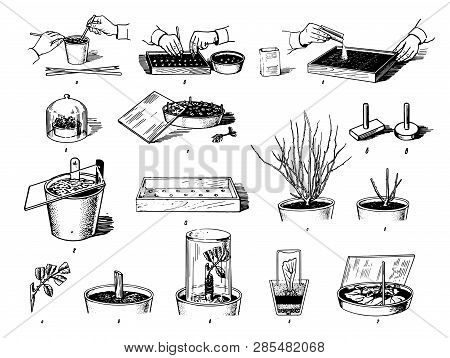 Vector Hand Drawn Sketch Of Plants Care Process Illustration On White Background