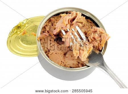Tinned Skipjack Tuna Steak Isolated On A White Background