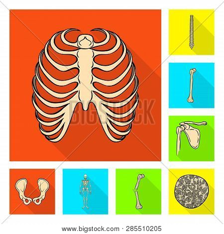 Vector Illustration Of Bone And Skeleton Symbol. Set Of Bone And Human Vector Icon For Stock.