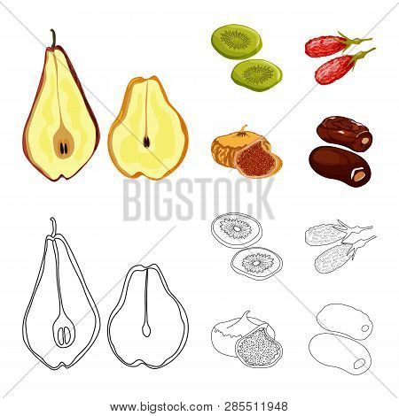Vector Illustration Of Food  And Raw  Logo. Set Of Food  And Nature   Vector Icon For Stock.