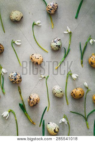 Easter Background With Quail Eggs And Snowdrop Flowers. Spring Background. Overhead Flatlay Easter
