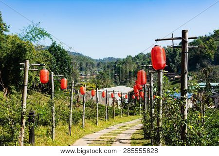 Beautiful Scenery Chinese Village Among Tea Field, Mae Hong Son In Thailand