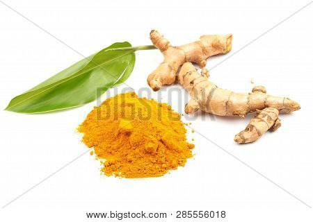 Turmeric Powder And Fresh Turmeric (curcuma) With Green Leaf On White Background. Herbal