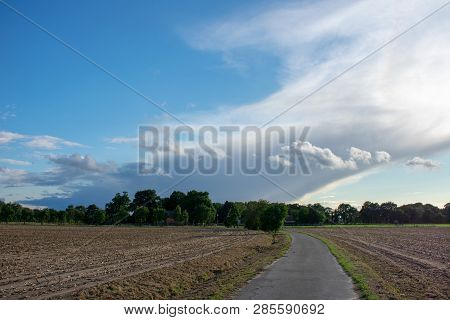 Peasantry With Road, Trees, Fields And Blue Cloud Sky. Location: Germany, North Rhine - Westphalia