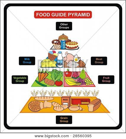 Pyramide de Guide alimentaire - y compris les groupes (céréales, fruits, légumes, lait, viande, autres) - utile pour Sc