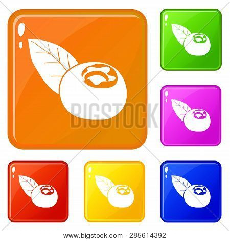 Cranberry Icons Set Collection Vector 6 Color Isolated On White Background