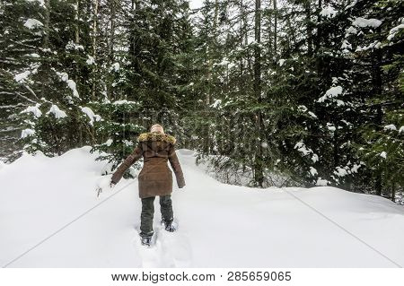 A Young Woman Snowshoeing Through The Forests Of Fernie Mountain Provincial Park, British Columbia, 