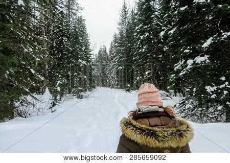 A Young Woman Snowshoeing Through The Forests Of Fernie Mountain Provincial Park, British Columbia, 
