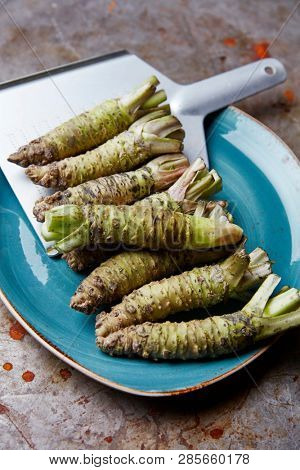 Fresh raw Wasabi roots with a grater