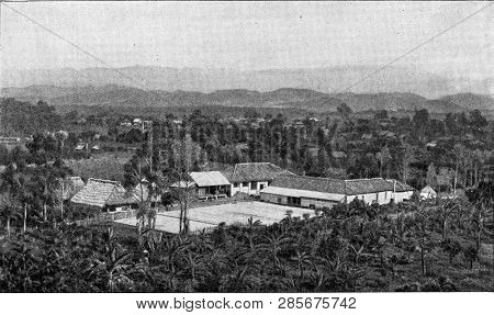 Coffee plantations in the rocky tropical region of Alta Verapaz, vintage engraved illustration. From the Universe and Humanity, 1910.