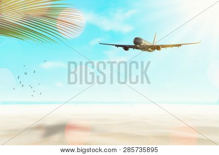 Airplane And Bird Flying On Blur Tropical Sand Beach With Palm Leaf Bokeh Sun Light Abstract Backgro