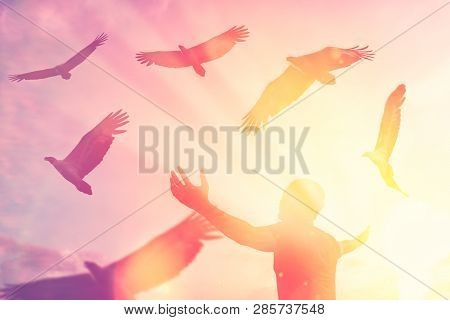 Man Raise Hand Up On Top Of Mountain And Sunset Sky With Eagle Birds Fly Abstract Background.