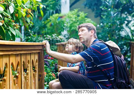 Father And Preschool Kid Boy Discovering Flowers, Plants And Butterflies At Botanic Garden. Family, 