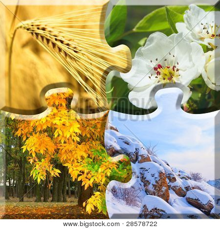 Stagione 4 In un Puzzle