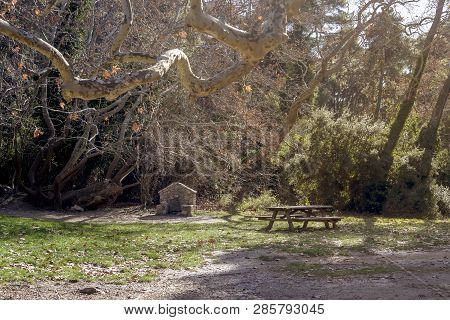 Source And Benches On A Green Lawn In The Mountains In The Winter, Sunny Day (greece, Attica, Mounta