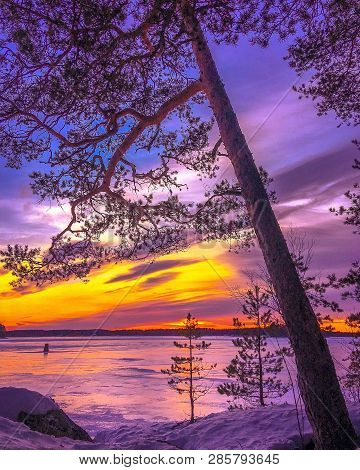 Winter Evening Sunset View Capture Landscape Beauty Naturephotography Photography Colorful
