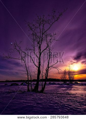 Winter Evening Sunset Nature Naturephotography Photography Beauty View Capture Landscape