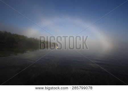 Bright Fogbow In Bear Cut Off Key Biscayne, Florida, With Great Egrets, Ardea Alba, Wading Beneath.