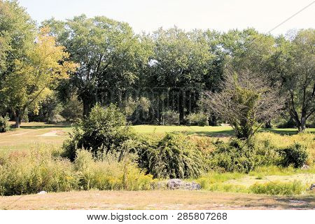 Short Par 3 Golf Hole Made Tougher By Tall Vegetation And Small Trees In Front Of Tee Box.