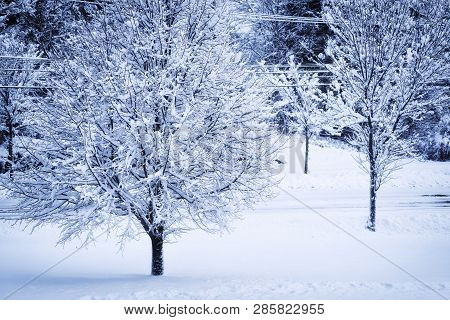 A Winter Storm Leaving Behind Fresh Snow Covered Trees, Fields, And Roads In Biddeford Maine.