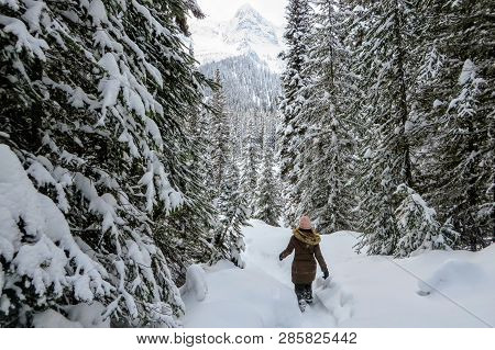 A Young Woman Snowshoeing Through Forests Of Island Lake In Fernie, British Columbia, Canada.  The M
