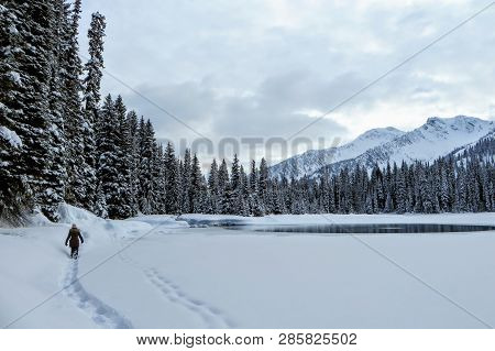A Young Woman Snowshoeing Around Island Lake In Fernie, British Columbia, Canada.  The Majestic Wint