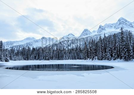 Incredible Snowy Views From Island Lake In Fernie, British Columbia, Canada.  The Majestic Winter Ba