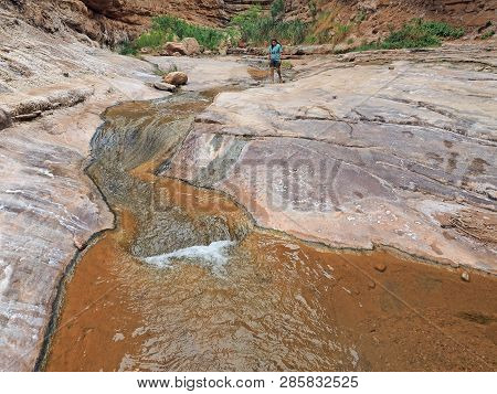 Hermit Creek And The Hermit Trail In Grand Canyon National Park, Arizona.