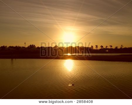 Sunset