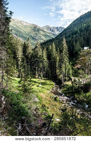 Ziarska Dolina Valley With Tri Kopy And Hruba Kopa Mountain Peak On The Background In Zapadne Tatry 
