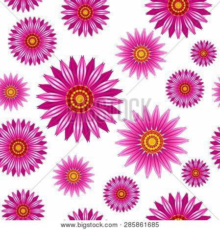 Echinacea Purpurea Flowers Vector Seamless Pattern. Vector Seamless Pattern Of Echinacea Purpurea Bl