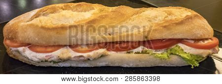 Long Crusty French Baguette With Tuna Salad Filling With Tomatoes In Panoramic Banner Format