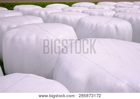 Hay Packed In Polyethylene Pvc Packaging Lies On The Field On Green Grass On A Sunny Summer Day.