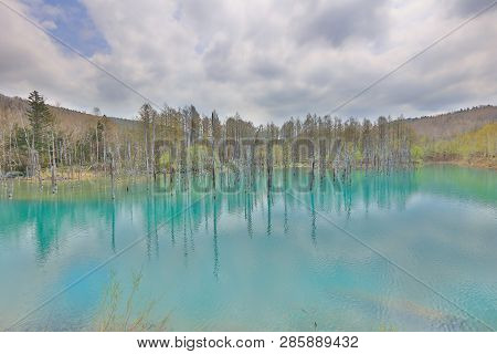 Blue Pond Aoiike ,biei Hokkaido Japan