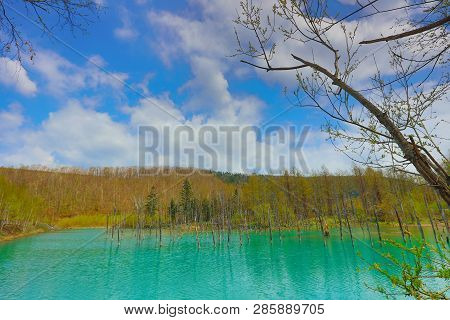Blue Pond Aoiike ,biei Hokkaido Japan