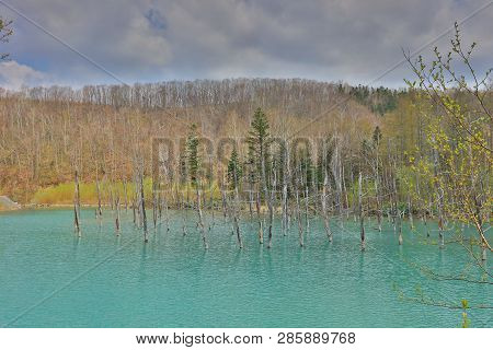 Blue Pond Aoiike ,biei Hokkaido Japan