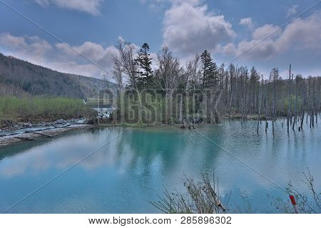 Ational Park Taken During Summer Biei