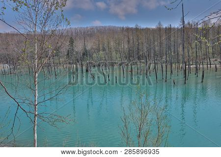 Blue Pond Aoiike In Biei, Hokkaido, Japan