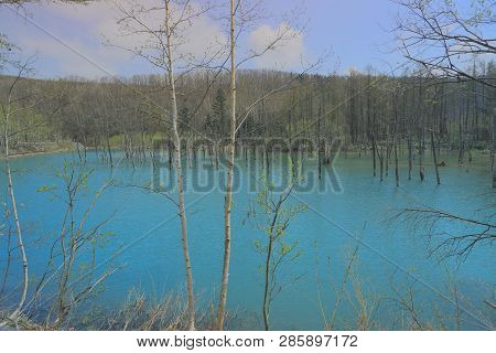 Ational Park Taken During Summer Biei