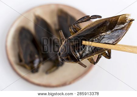 Giant Water Bug Is Edible Insect For Eating As Food Insects Deep-fried Crispy Snack On Plate And Cho