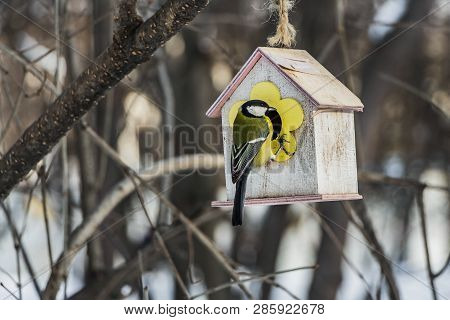 A Small Yellow Tit Sits On A Yellow Bird And Squirrel Feeder House From Plywood In The Park