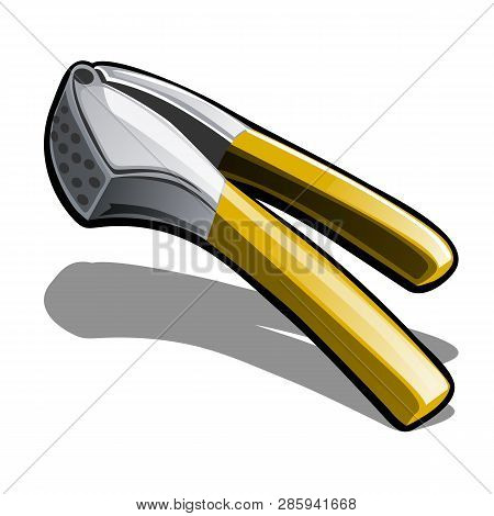 Garlic Masher Isolated On White Background. Vector Cartoon Close-up Illustration.