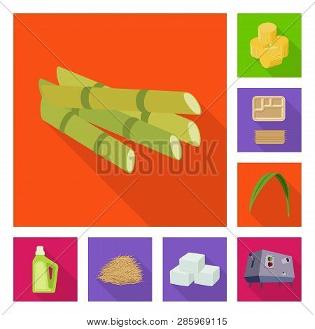 Vector Illustration Of Plant And Plantation Icon. Set Of Plant And Agriculture  Vector Icon For Stoc